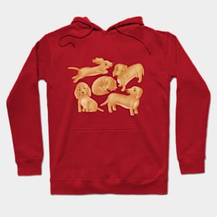 Dachshund.(Wiener dog). Hoodie